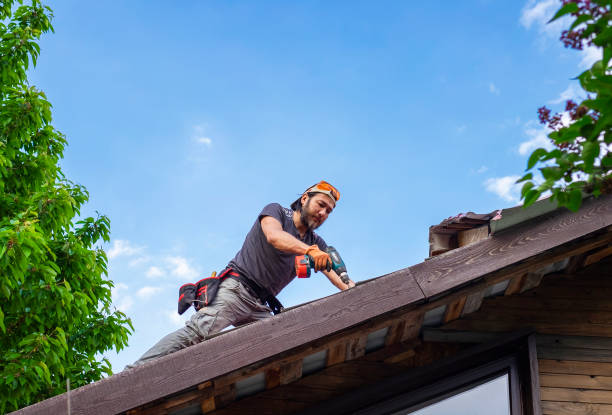 Best Roof Insulation Installation  in Wabasso Beach, FL